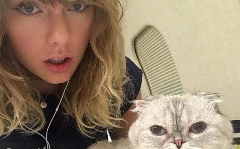 taylor swift's cat net worth