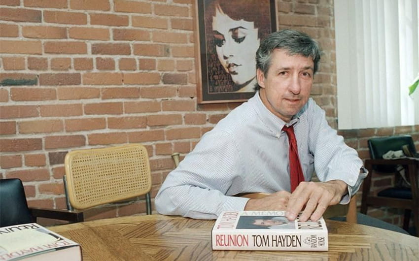 tom hayden net worth