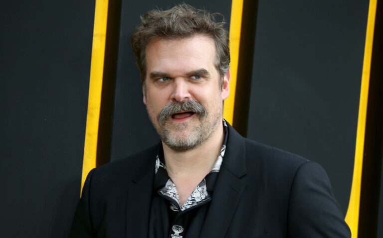 david harbour wife